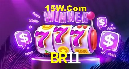 Login Seguro BR11